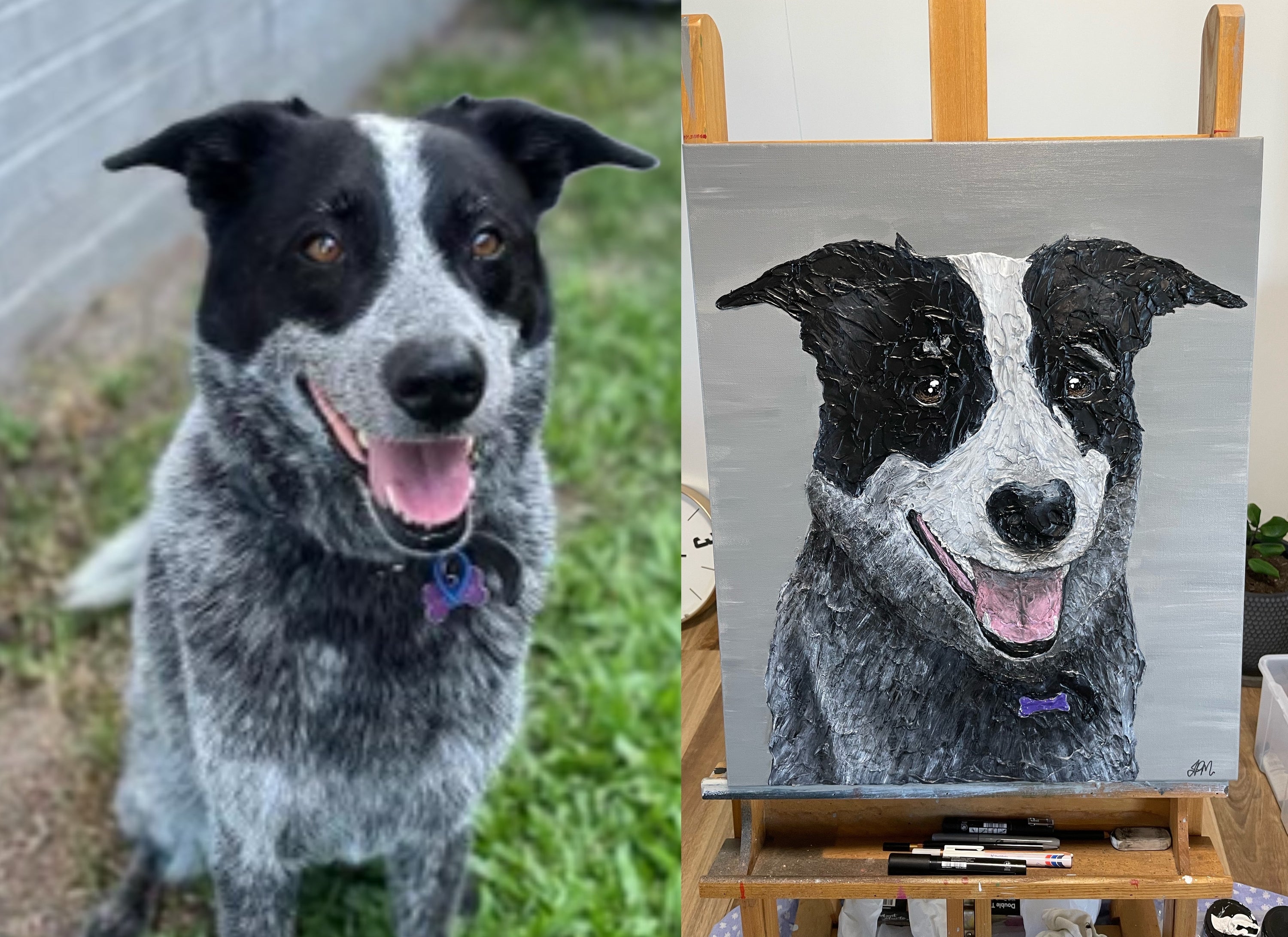 Previous commission piece of black and white cattle dog cross