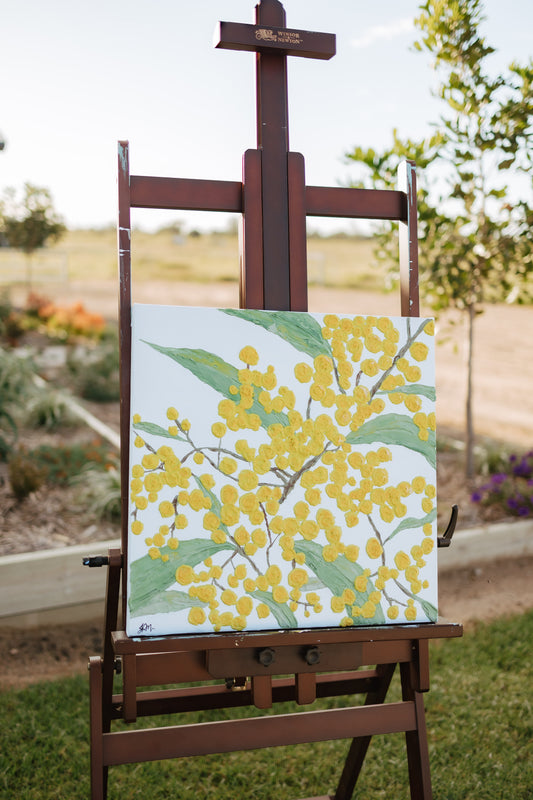 Wattle in Bloom